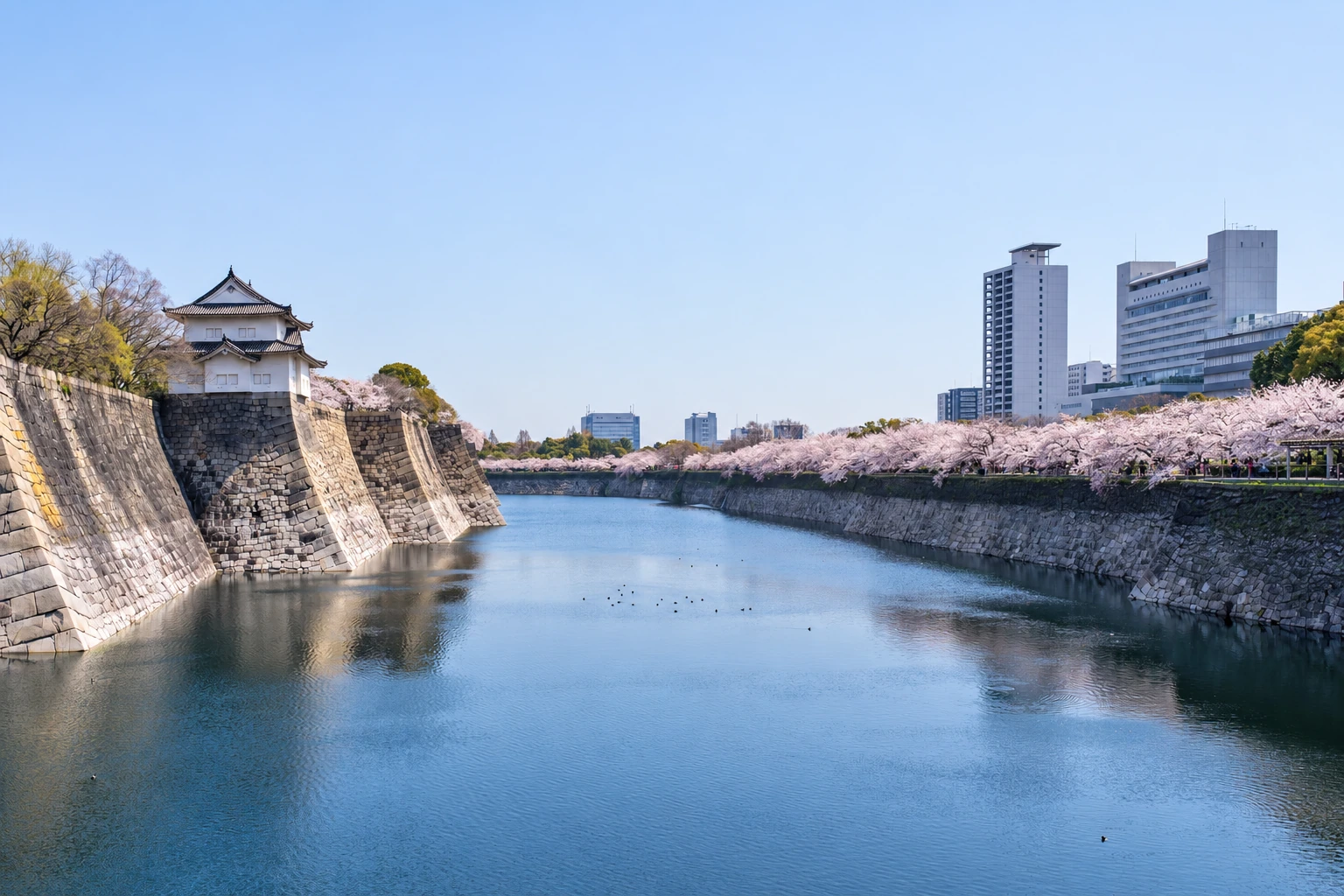 Kyoto — Waterfront and city